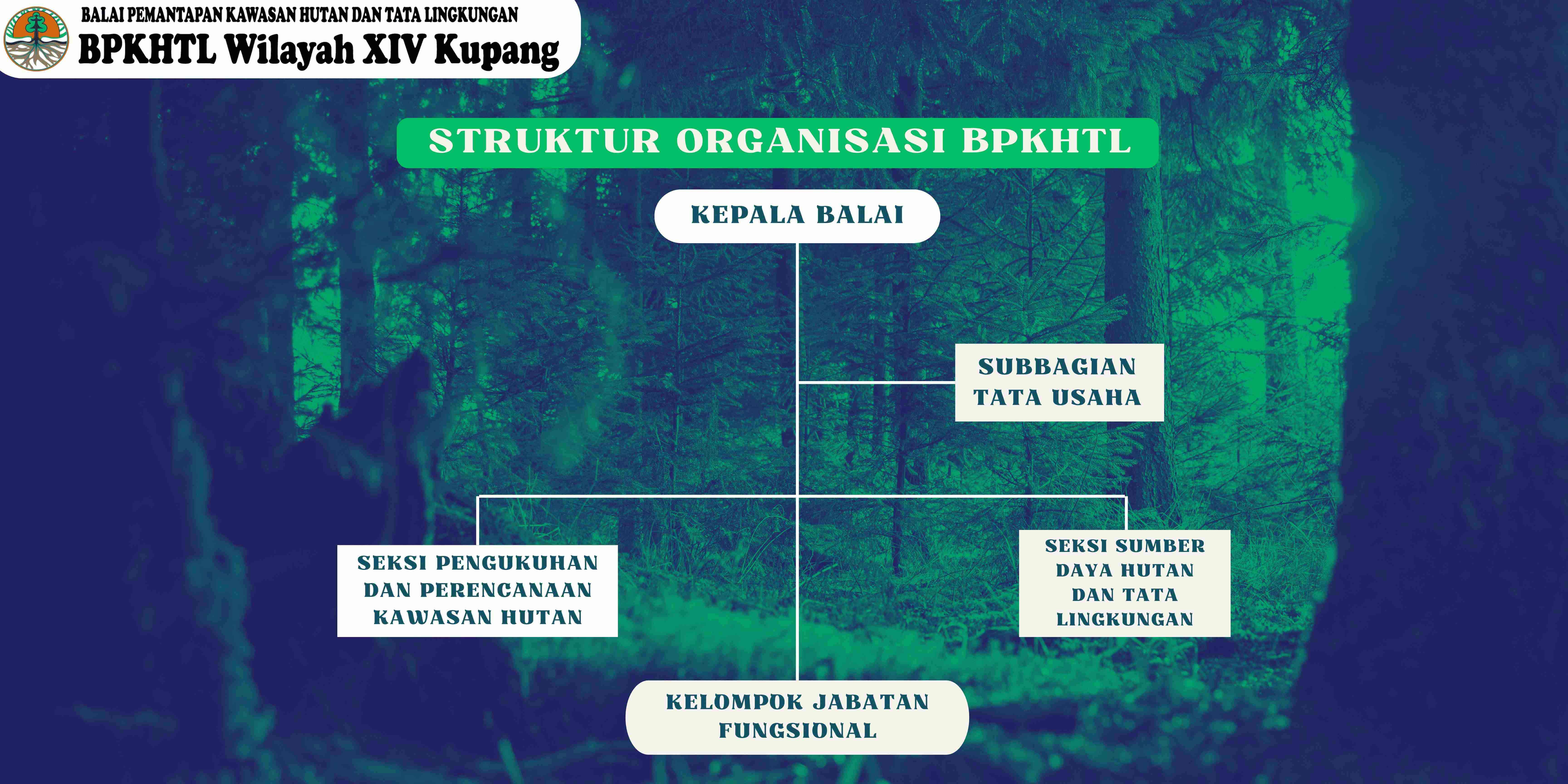 Struktur Organisasi